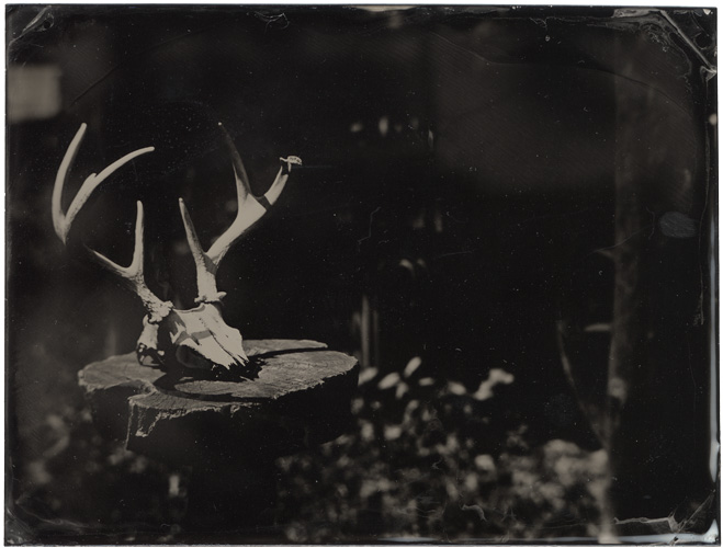tintype
