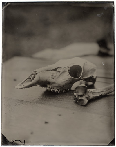 tintype